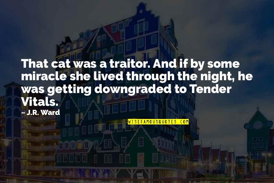 Downgraded Quotes By J.R. Ward: That cat was a traitor. And if by