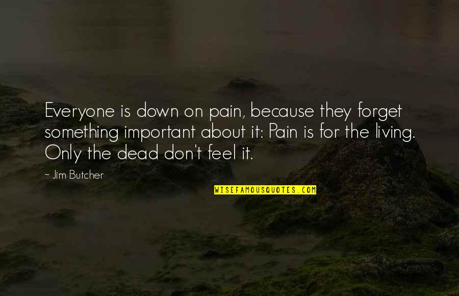 Downhill Spiral Quotes By Jim Butcher: Everyone is down on pain, because they forget