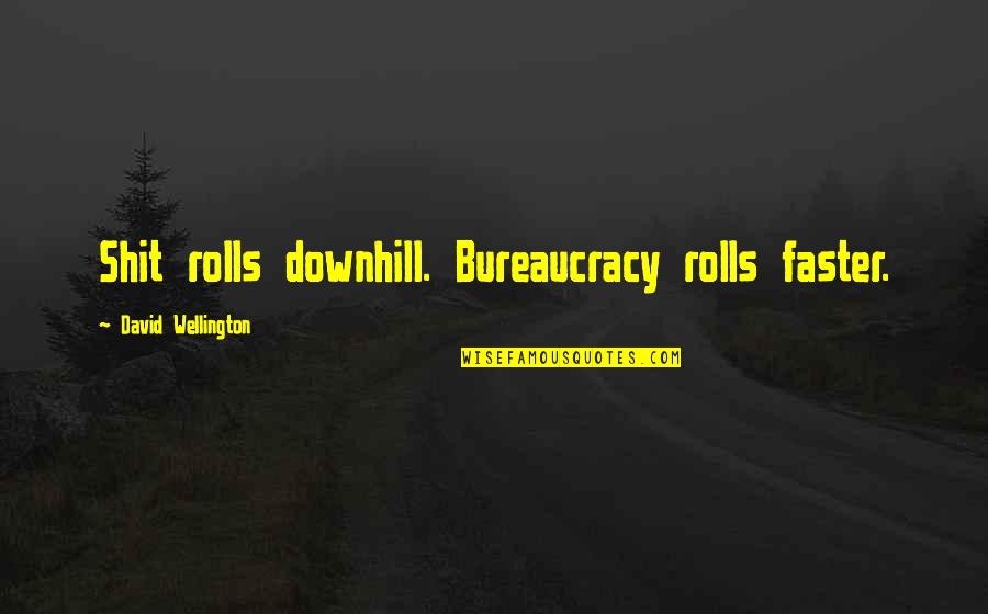 Downhill's Quotes By David Wellington: Shit rolls downhill. Bureaucracy rolls faster.