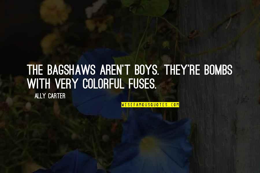 Download Vector Quotes By Ally Carter: The Bagshaws aren't boys. They're bombs with very