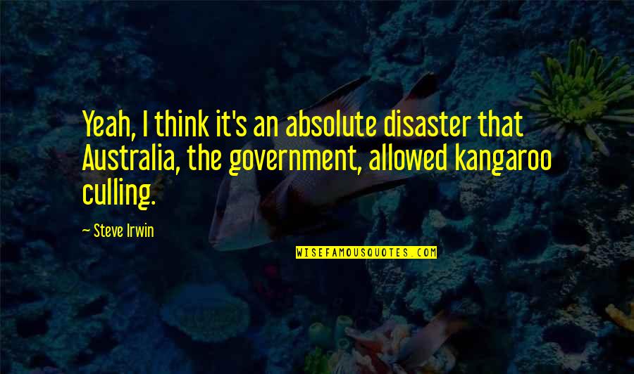 Downness Quotes By Steve Irwin: Yeah, I think it's an absolute disaster that