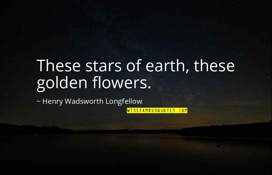 Downrush Quotes By Henry Wadsworth Longfellow: These stars of earth, these golden flowers.