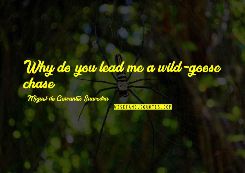 Downtime Salon Quotes By Miguel De Cervantes Saavedra: Why do you lead me a wild-goose chase?