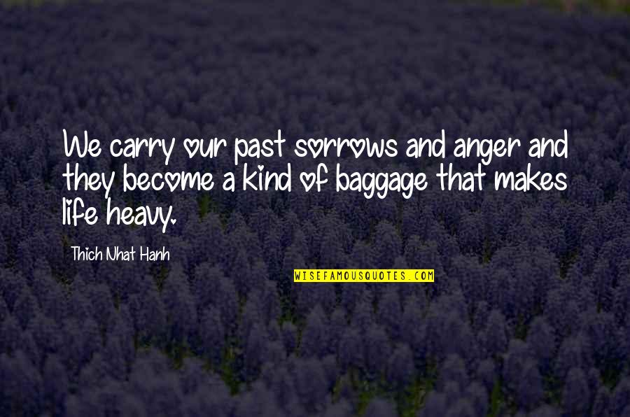 Downturned Eyebrows Quotes By Thich Nhat Hanh: We carry our past sorrows and anger and Downturned Eyebrows Quotes By Thich Nhat Hanh: We carry our past sorrows and anger and