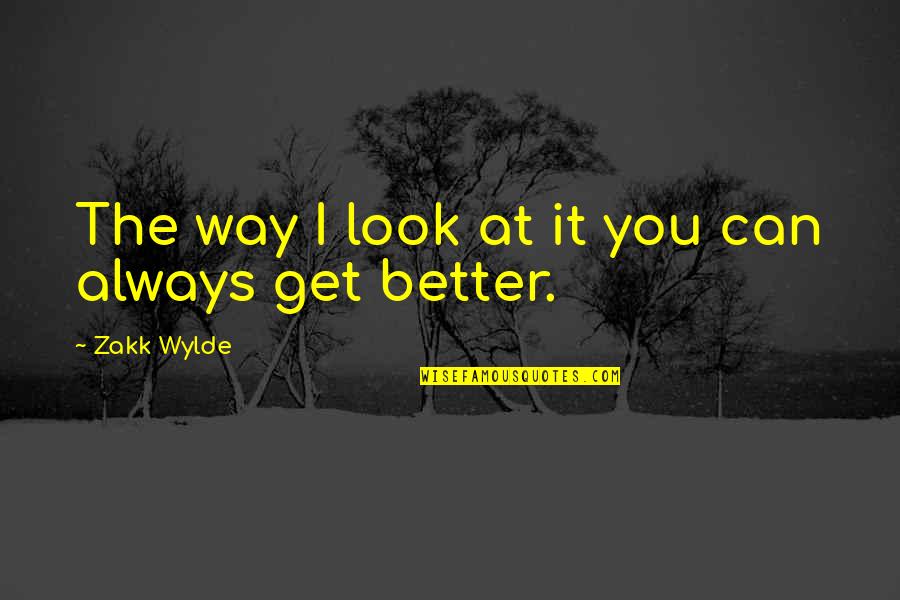 Downturned Hooded Quotes By Zakk Wylde: The way I look at it you can