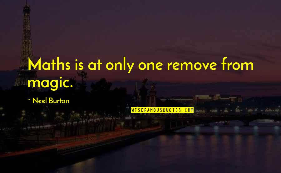 Downward Dog Quotes By Neel Burton: Maths is at only one remove from magic.