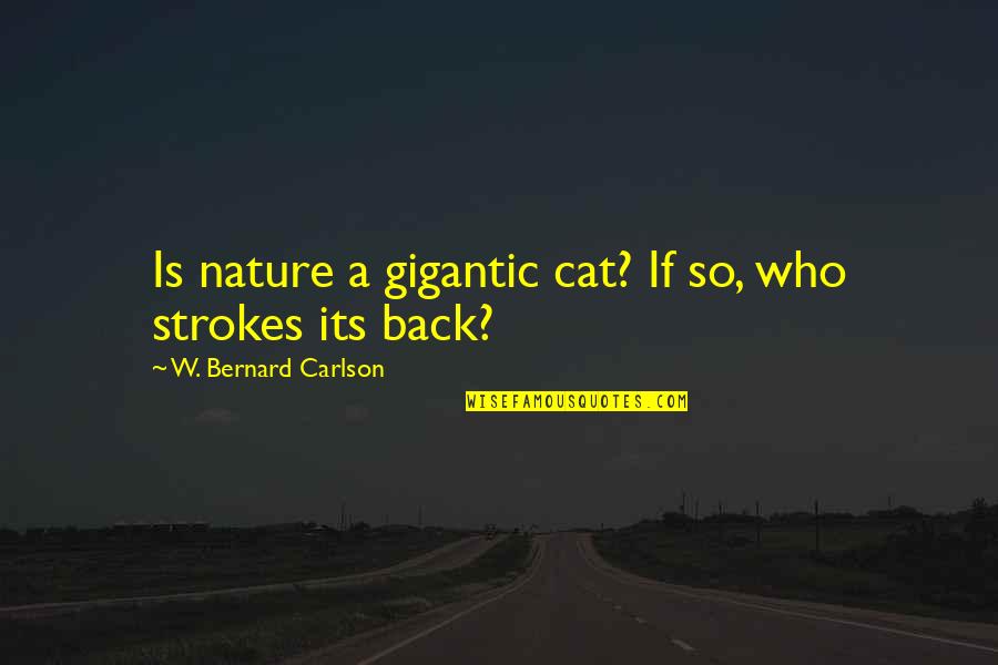 Downward Facing Dog Quotes By W. Bernard Carlson: Is nature a gigantic cat? If so, who