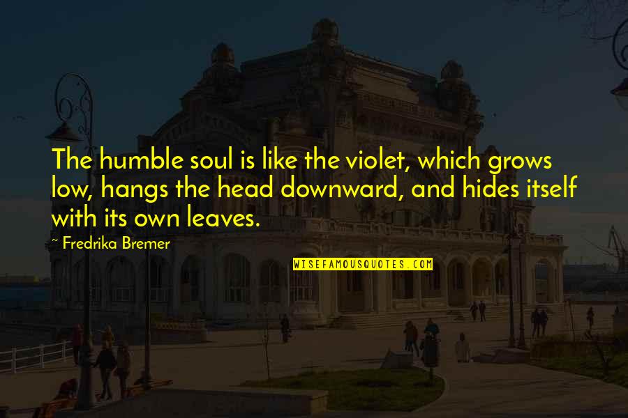 Downward Quotes By Fredrika Bremer: The humble soul is like the violet, which Downward Quotes By Fredrika Bremer: The humble soul is like the violet, which