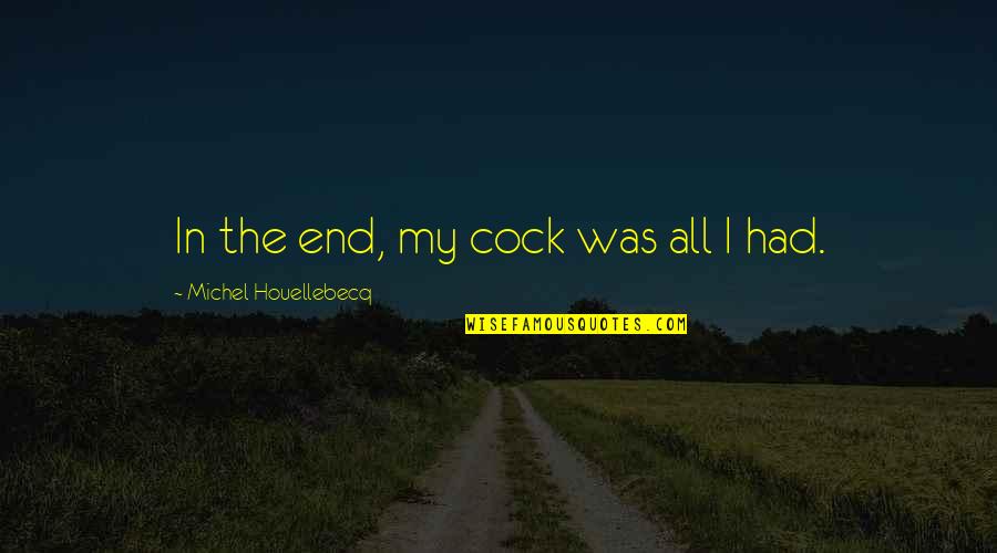 Downworlder Quotes By Michel Houellebecq: In the end, my cock was all I