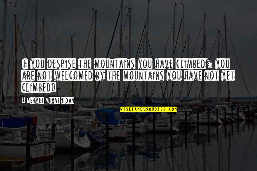 Doyok Monkey Quotes By Mehmet Murat Ildan: If you despise the mountains you have climbed,