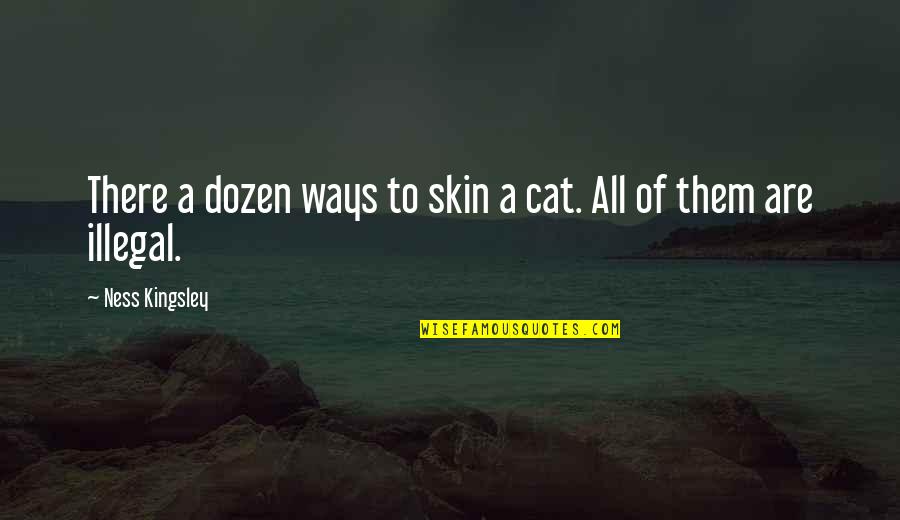 Dozen Best Quotes By Ness Kingsley: There a dozen ways to skin a cat.
