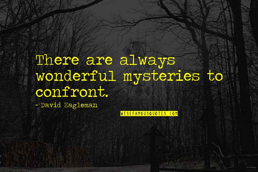 Dr Anthony P Witham Quotes By David Eagleman: There are always wonderful mysteries to confront. Dr Anthony P Witham Quotes By David Eagleman: There are always wonderful mysteries to confront.