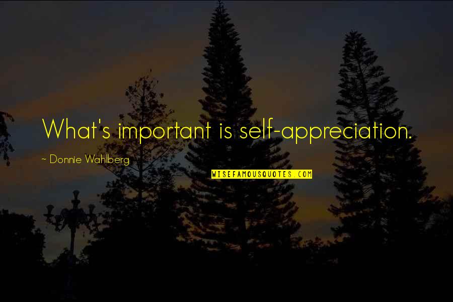 Dr Ben Sobel Quotes By Donnie Wahlberg: What's important is self-appreciation.