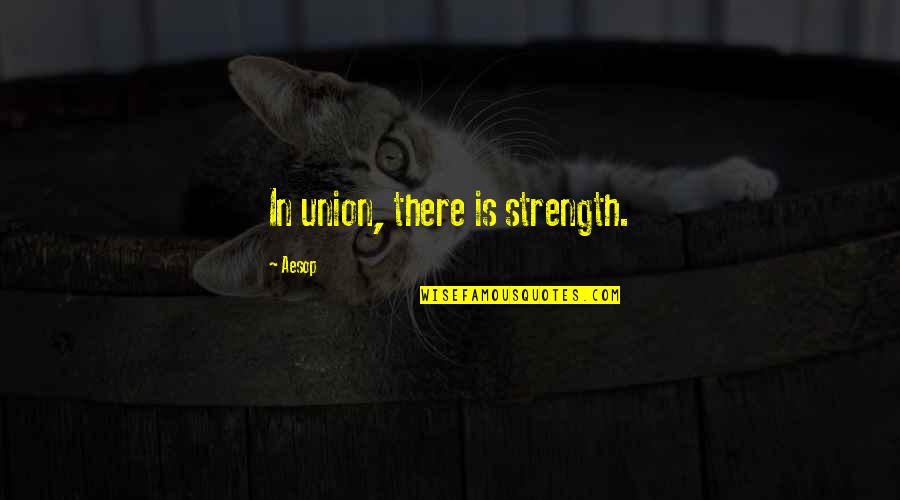 Dr Bubby Quotes By Aesop: In union, there is strength.