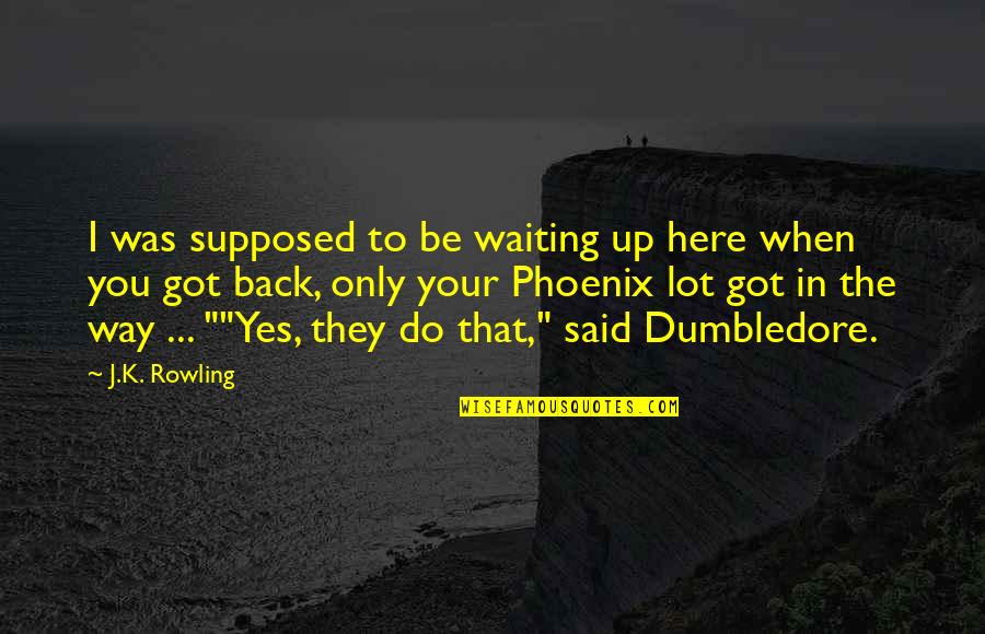 Dr House Broken Quotes By J.K. Rowling: I was supposed to be waiting up here