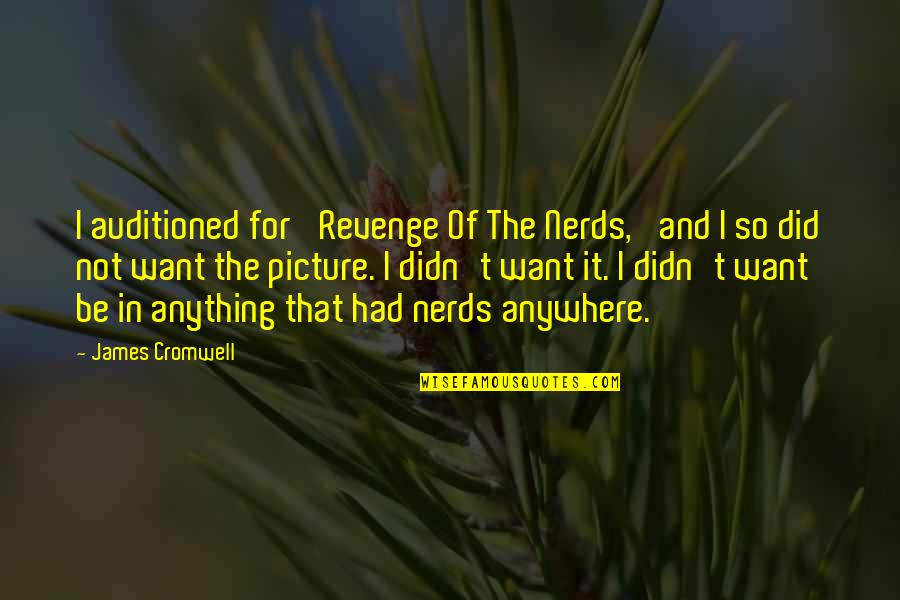 Dr Inamori Quotes By James Cromwell: I auditioned for 'Revenge Of The Nerds,' and