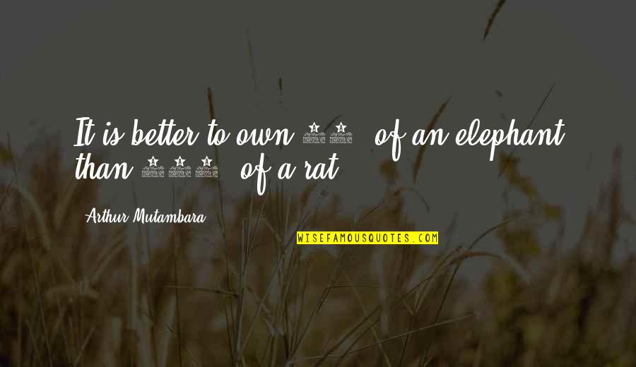Dr John Eliot Quotes By Arthur Mutambara: It is better to own 10% of an Dr John Eliot Quotes By Arthur Mutambara: It is better to own 10% of an