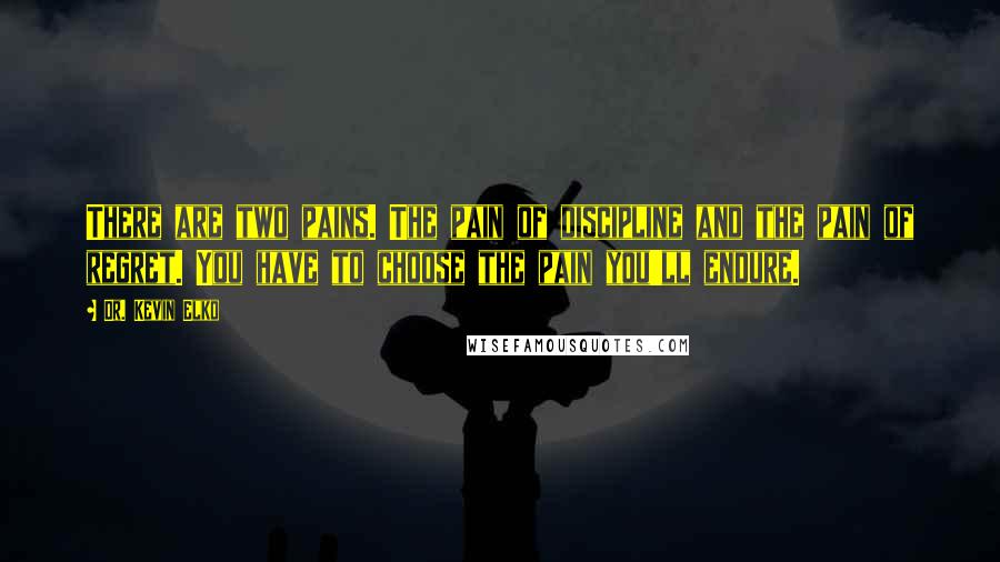 Dr. Kevin Elko quotes: There are two pains. The pain of discipline and the pain of regret. You have to choose the pain you'll endure.