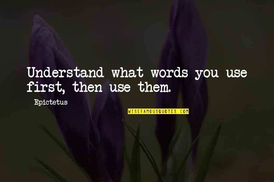 Dr Marius Barnard Quotes By Epictetus: Understand what words you use first, then use