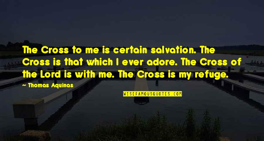 Dr Nowzaradan Famous Quotes By Thomas Aquinas: The Cross to me is certain salvation. The