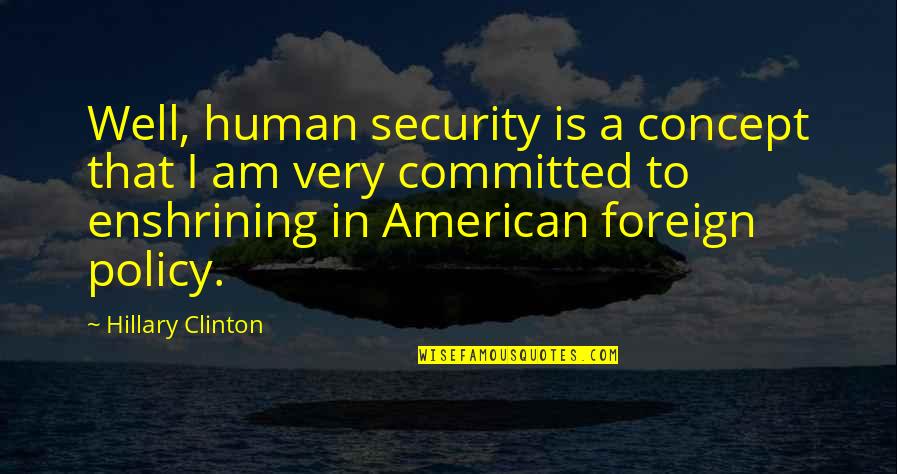 Dr Pepper Quotes By Hillary Clinton: Well, human security is a concept that I