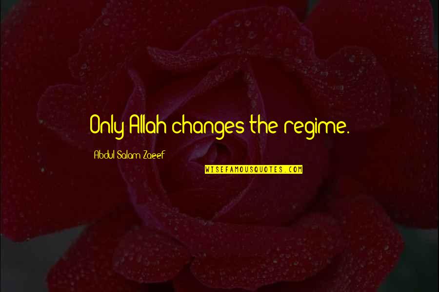 Dr Sloan Quotes By Abdul Salam Zaeef: Only Allah changes the regime.