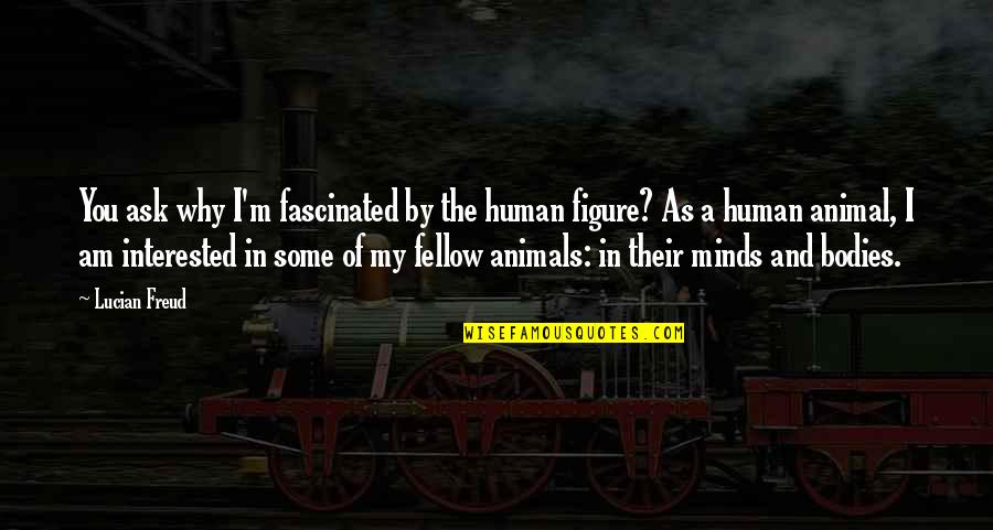 Dr Syn Quotes By Lucian Freud: You ask why I'm fascinated by the human