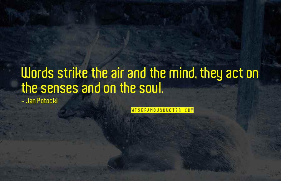 Dr Vindaloo Quotes By Jan Potocki: Words strike the air and the mind, they