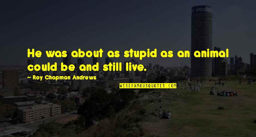 Draagmoeder Quotes By Roy Chapman Andrews: He was about as stupid as an animal Draagmoeder Quotes By Roy Chapman Andrews: He was about as stupid as an animal