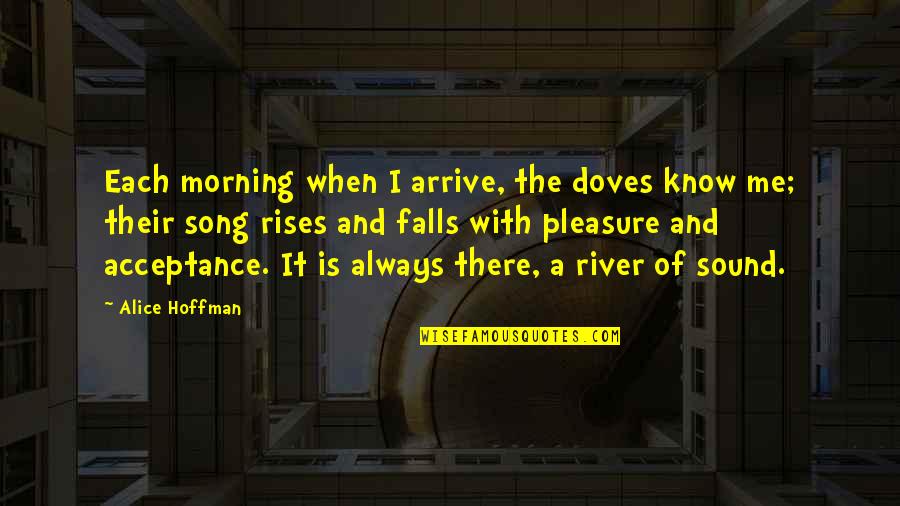 Drabstraat Quotes By Alice Hoffman: Each morning when I arrive, the doves know