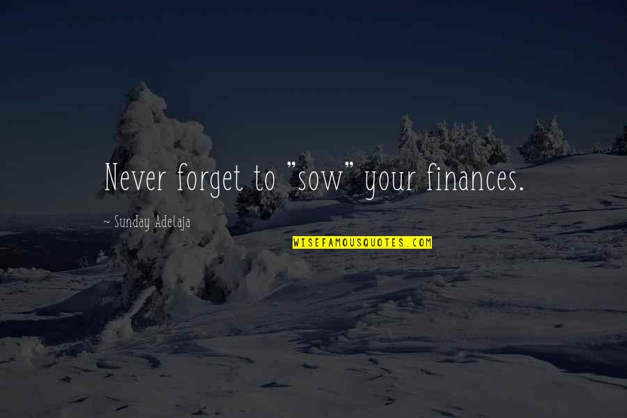 Drachenfels Siebengebirge Quotes By Sunday Adelaja: Never forget to "sow" your finances.