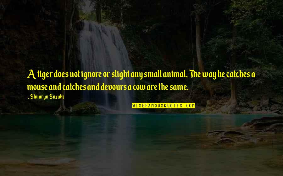 Drachmas Quotes By Shunryu Suzuki: A tiger does not ignore or slight any