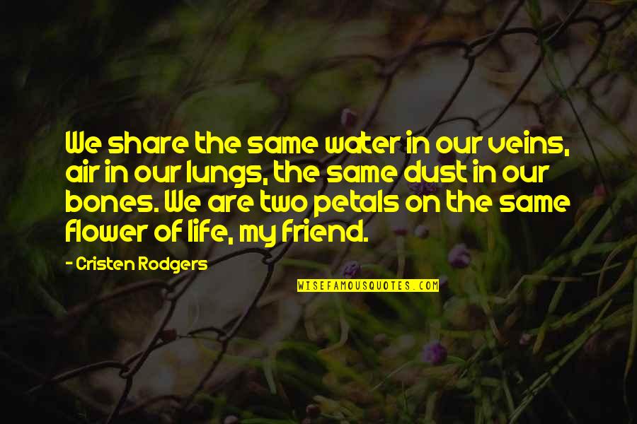 Dracosaurus Quotes By Cristen Rodgers: We share the same water in our veins,
