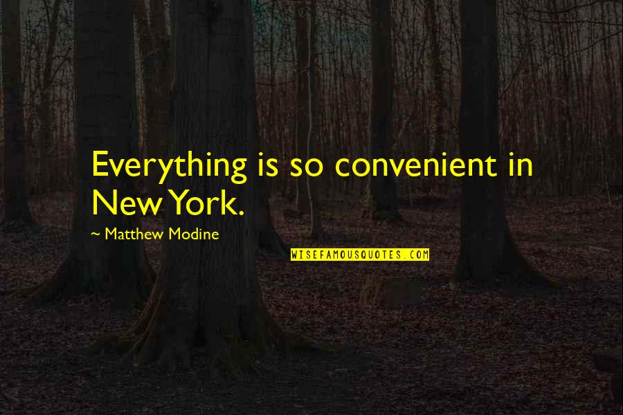 Draffe Quotes By Matthew Modine: Everything is so convenient in New York.