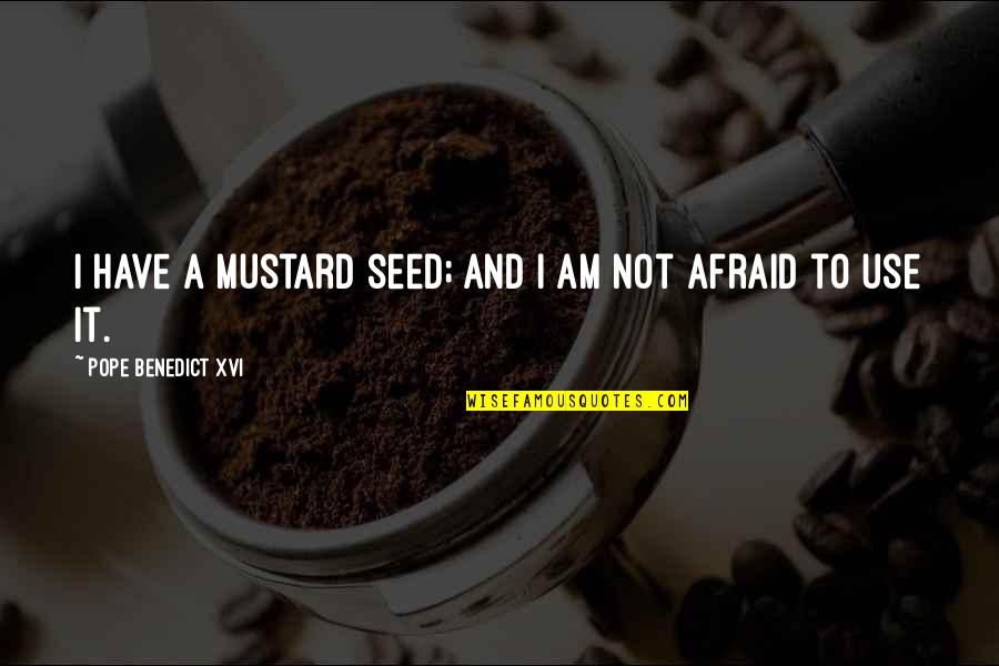 Drafting And Design Quotes By Pope Benedict XVI: I have a mustard seed; and I am
