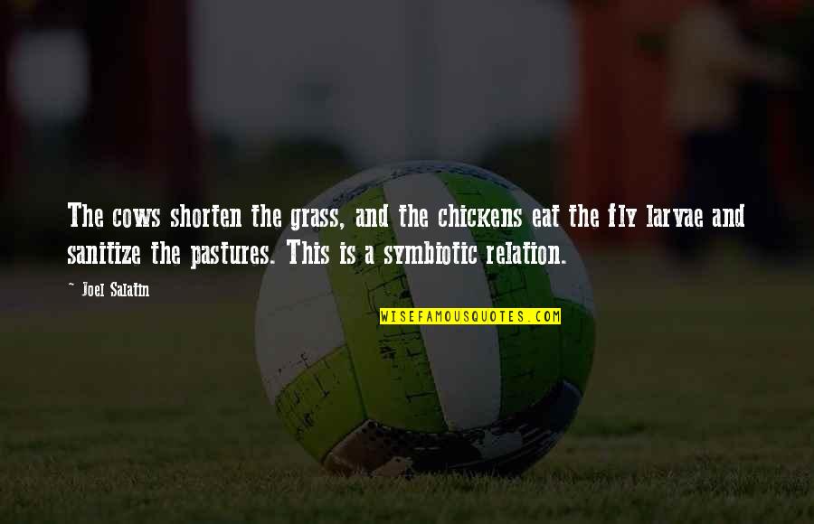 Draftwell Quotes By Joel Salatin: The cows shorten the grass, and the chickens Draftwell Quotes By Joel Salatin: The cows shorten the grass, and the chickens