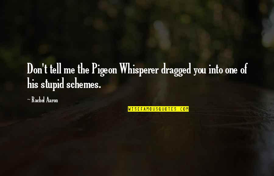 Dragged Out Quotes By Rachel Aaron: Don't tell me the Pigeon Whisperer dragged you
