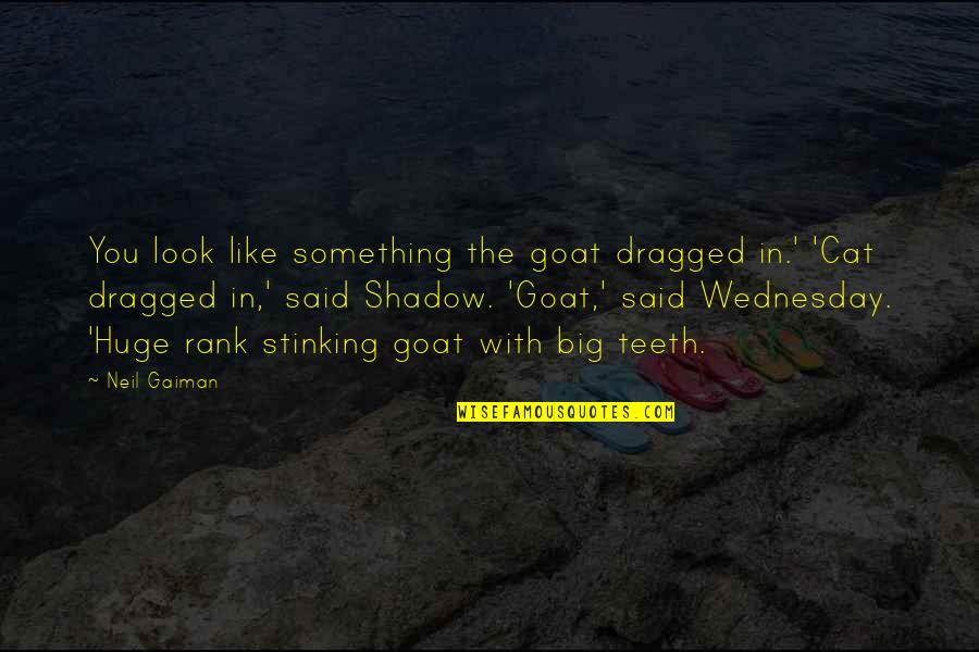 Dragged Quotes By Neil Gaiman: You look like something the goat dragged in.' Dragged Quotes By Neil Gaiman: You look like something the goat dragged in.'