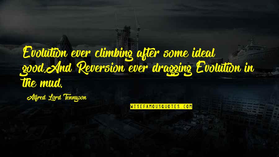 Dragging Quotes By Alfred Lord Tennyson: Evolution ever climbing after some ideal good,And Reversion