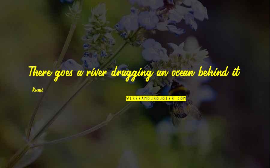 Dragging Quotes By Rumi: There goes a river dragging an ocean behind