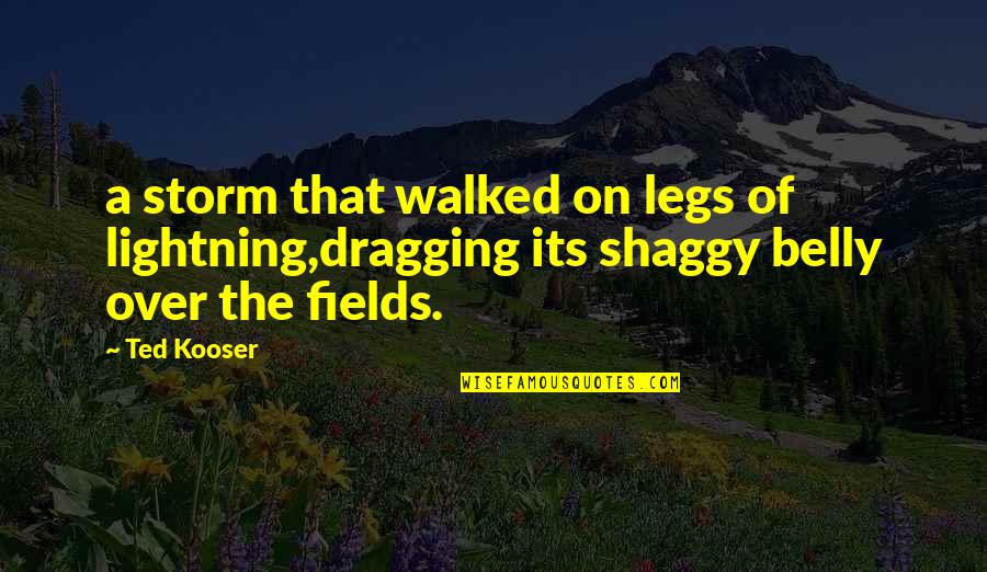 Dragging Quotes By Ted Kooser: a storm that walked on legs of lightning,dragging