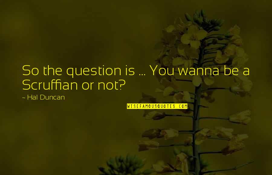 Draghici Bogdan Quotes By Hal Duncan: So the question is ... You wanna be