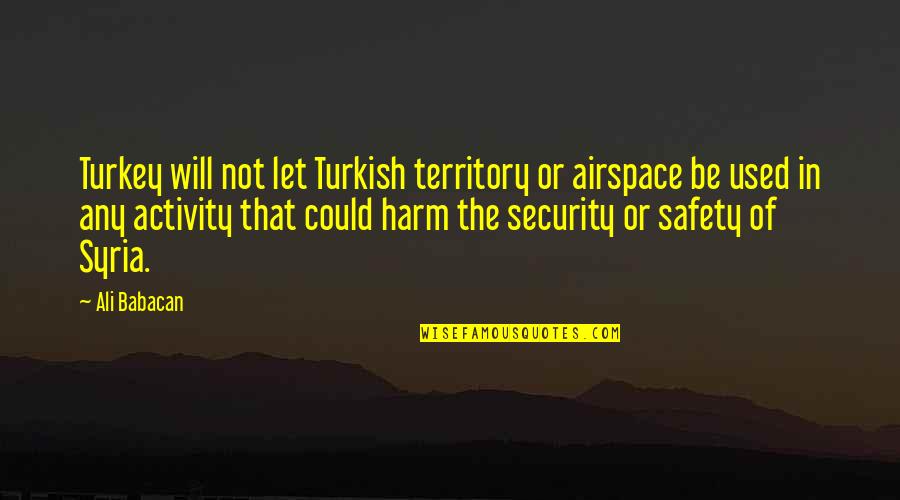 Dragonfly In Amber Quotes By Ali Babacan: Turkey will not let Turkish territory or airspace