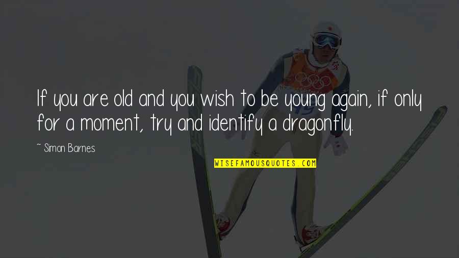 Dragonfly Quotes By Simon Barnes: If you are old and you wish to
