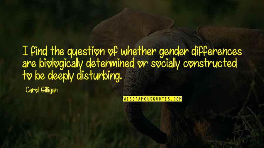 Drahtgitter Quotes By Carol Gilligan: I find the question of whether gender differences