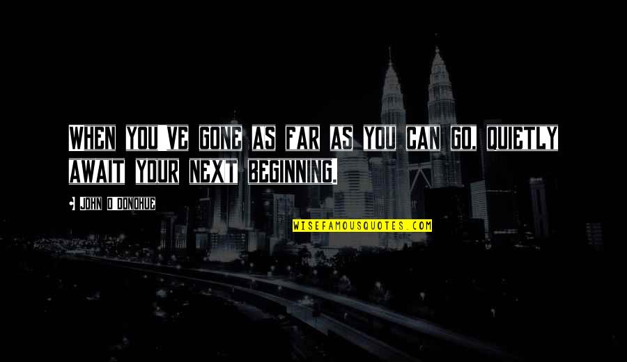 Drahthaars Quotes By John O'Donohue: When you've gone as far as you can
