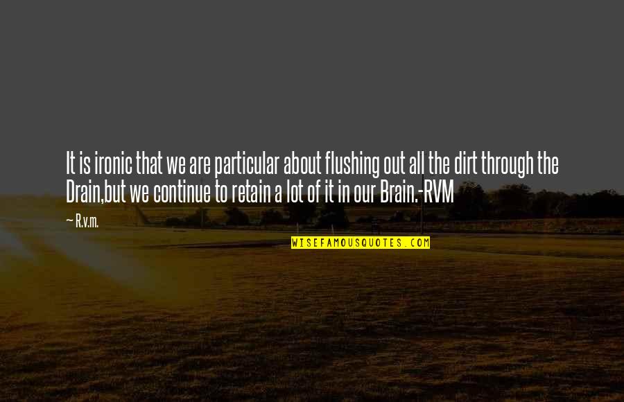 Drain Out Quotes By R.v.m.: It is ironic that we are particular about