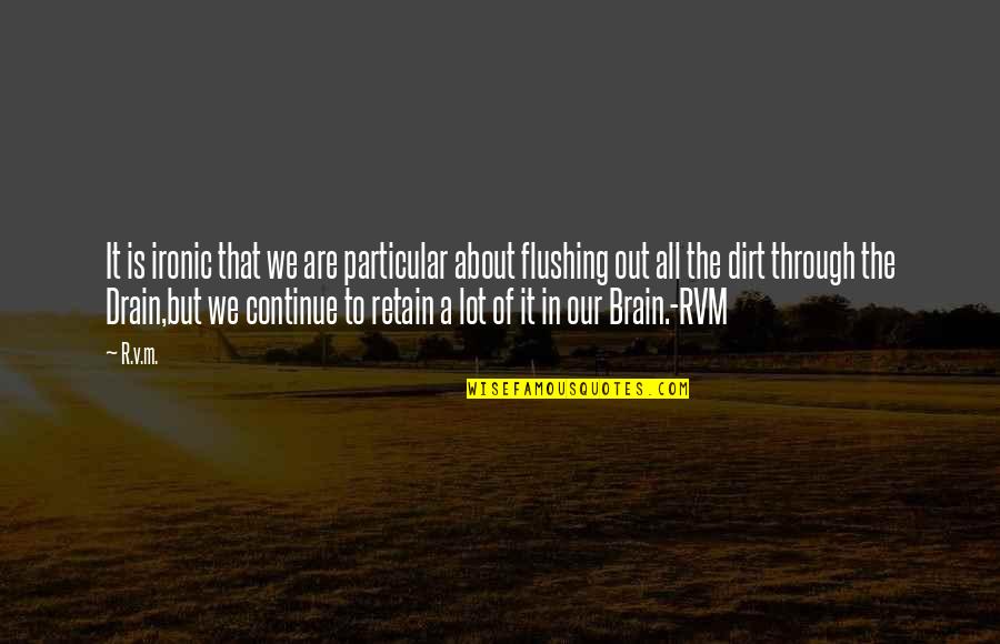 Drain Out Quotes By R.v.m.: It is ironic that we are particular about Drain Out Quotes By R.v.m.: It is ironic that we are particular about