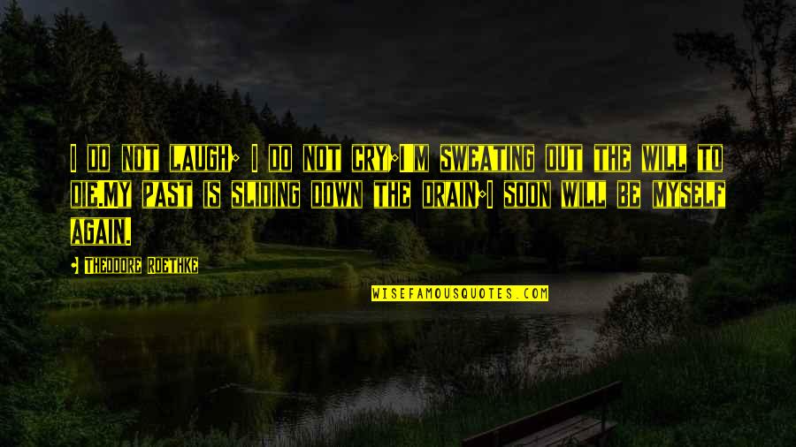 Drain Out Quotes By Theodore Roethke: I do not laugh; I do not cry;I'm Drain Out Quotes By Theodore Roethke: I do not laugh; I do not cry;I'm