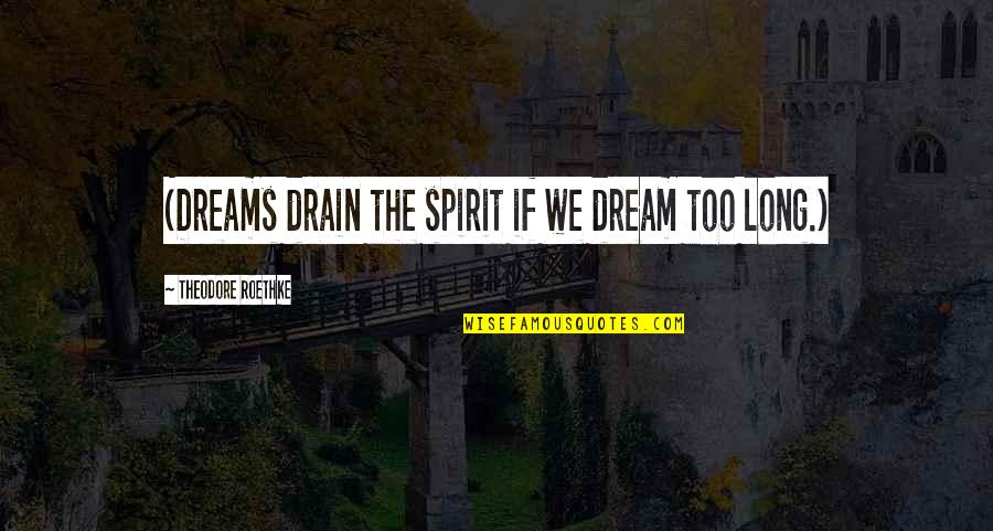 Drain Out Quotes By Theodore Roethke: (Dreams drain the spirit if we dream too Drain Out Quotes By Theodore Roethke: (Dreams drain the spirit if we dream too